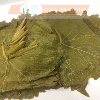 Hakiki Tokat Yaprağı